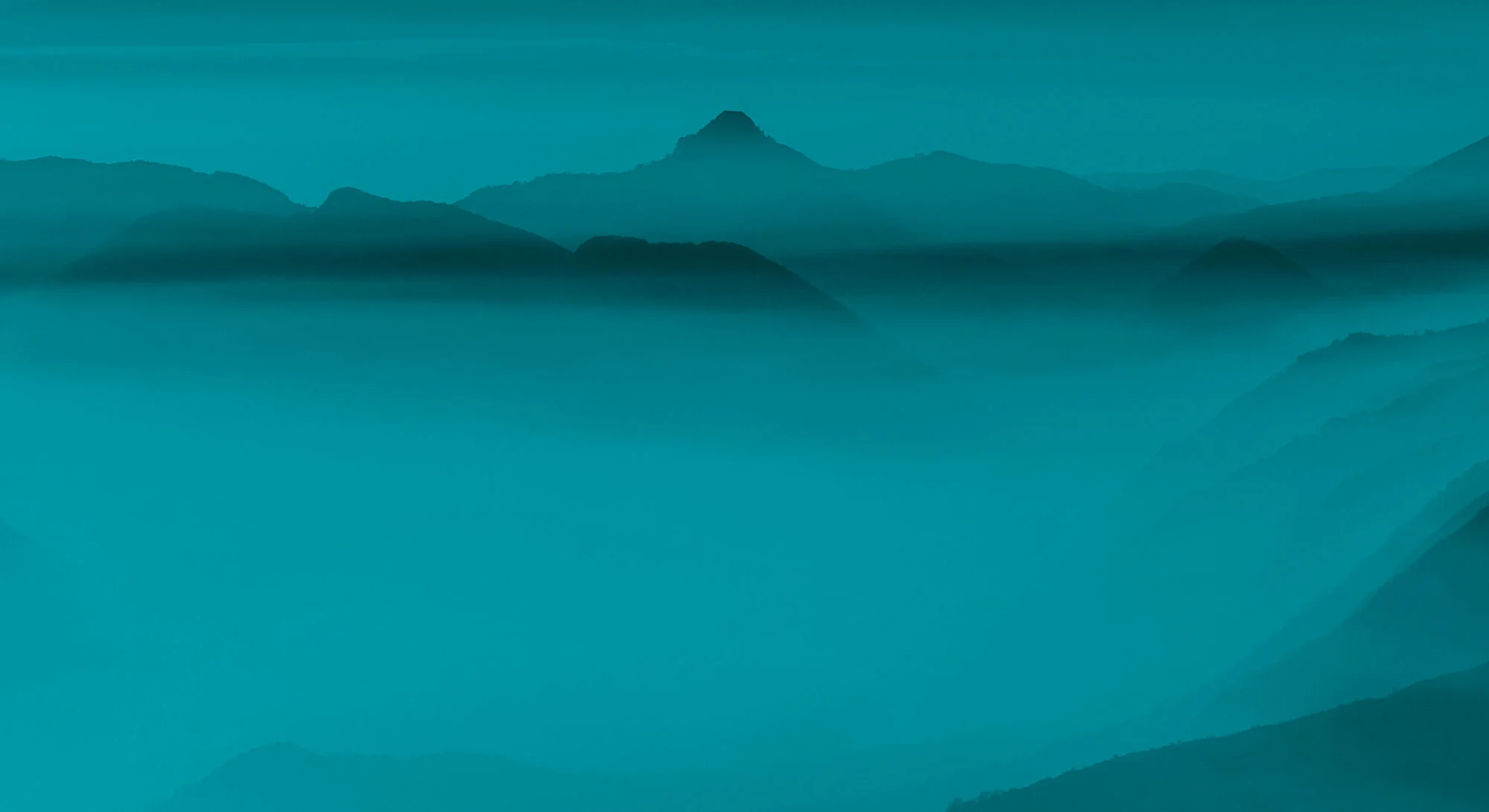 CV Plastic Surgery Branding